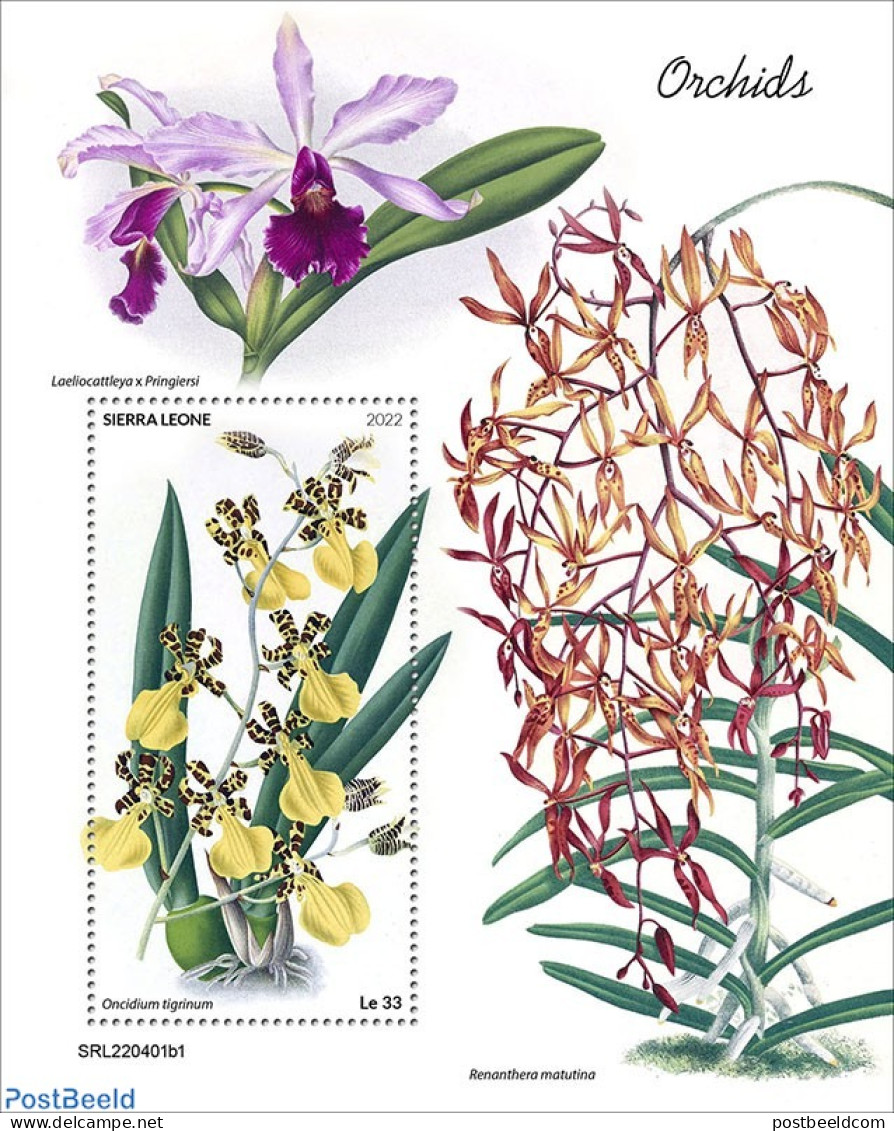 Sierra Leone 2022 Orchids, Mint NH, Nature - Flowers & Plants - Orchids - Other & Unclassified