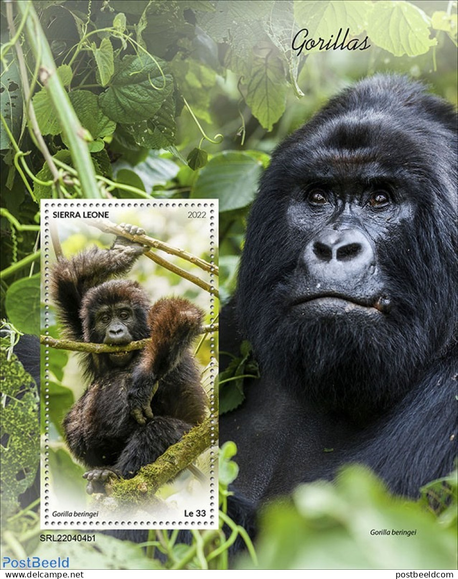 Sierra Leone 2022 Gorillas, Mint NH, Nature - Monkeys - Sonstige & Ohne Zuordnung