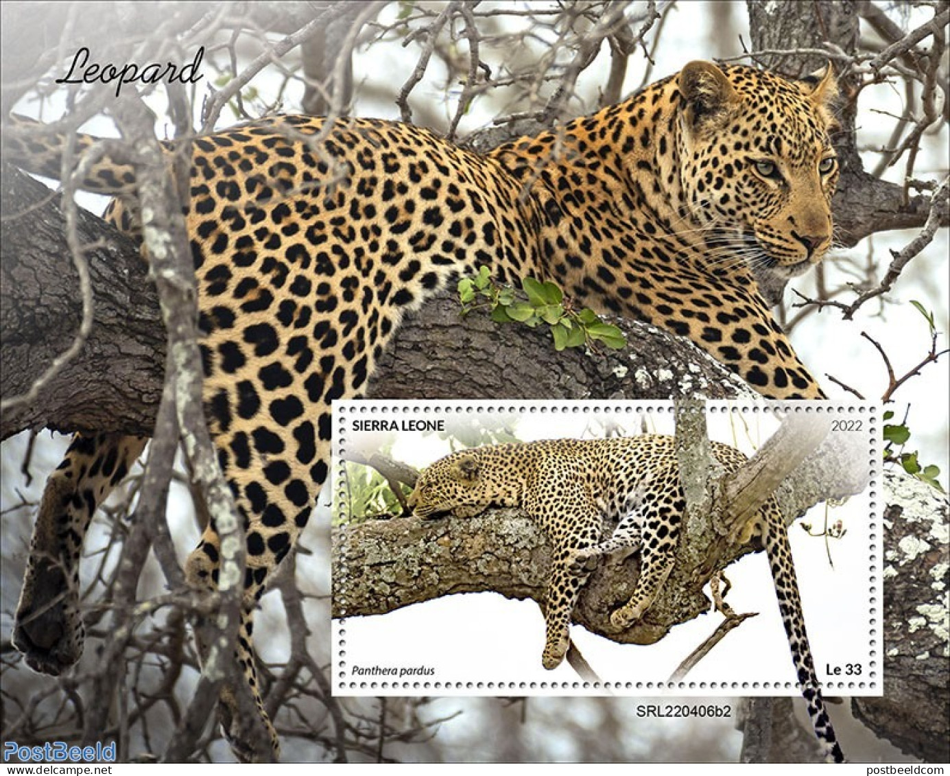 Sierra Leone 2022 Leopards, Mint NH, Nature - Cat Family - Otros & Sin Clasificación