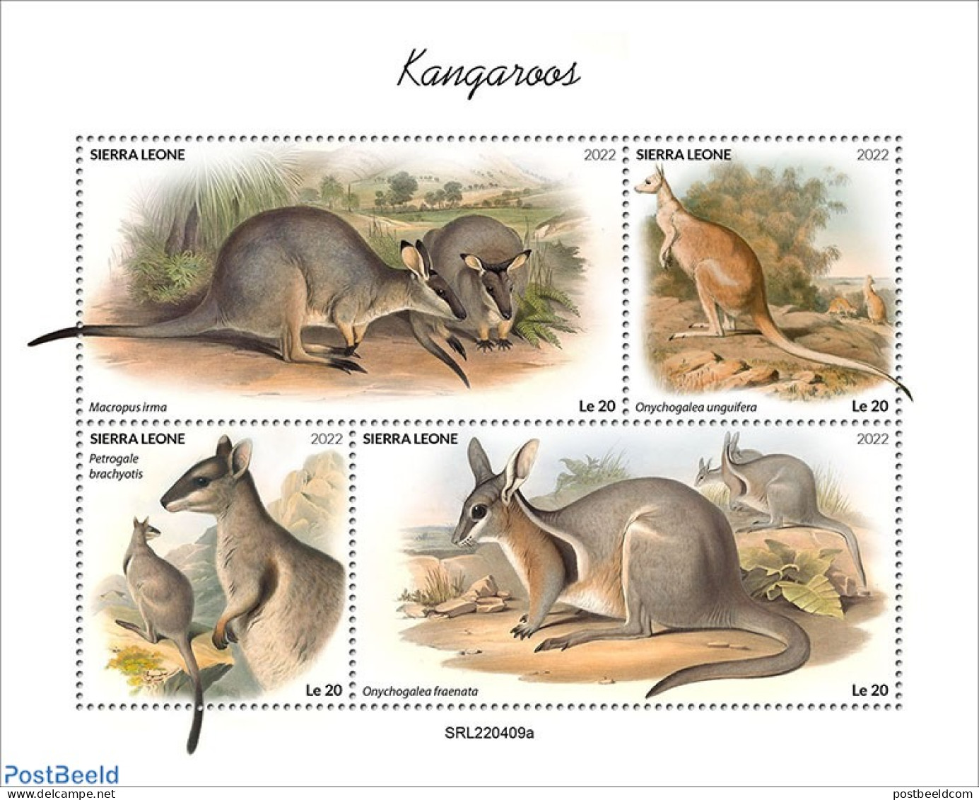 Sierra Leone 2022 Kangaroos, Mint NH, Nature - Animals (others & Mixed) - Andere & Zonder Classificatie