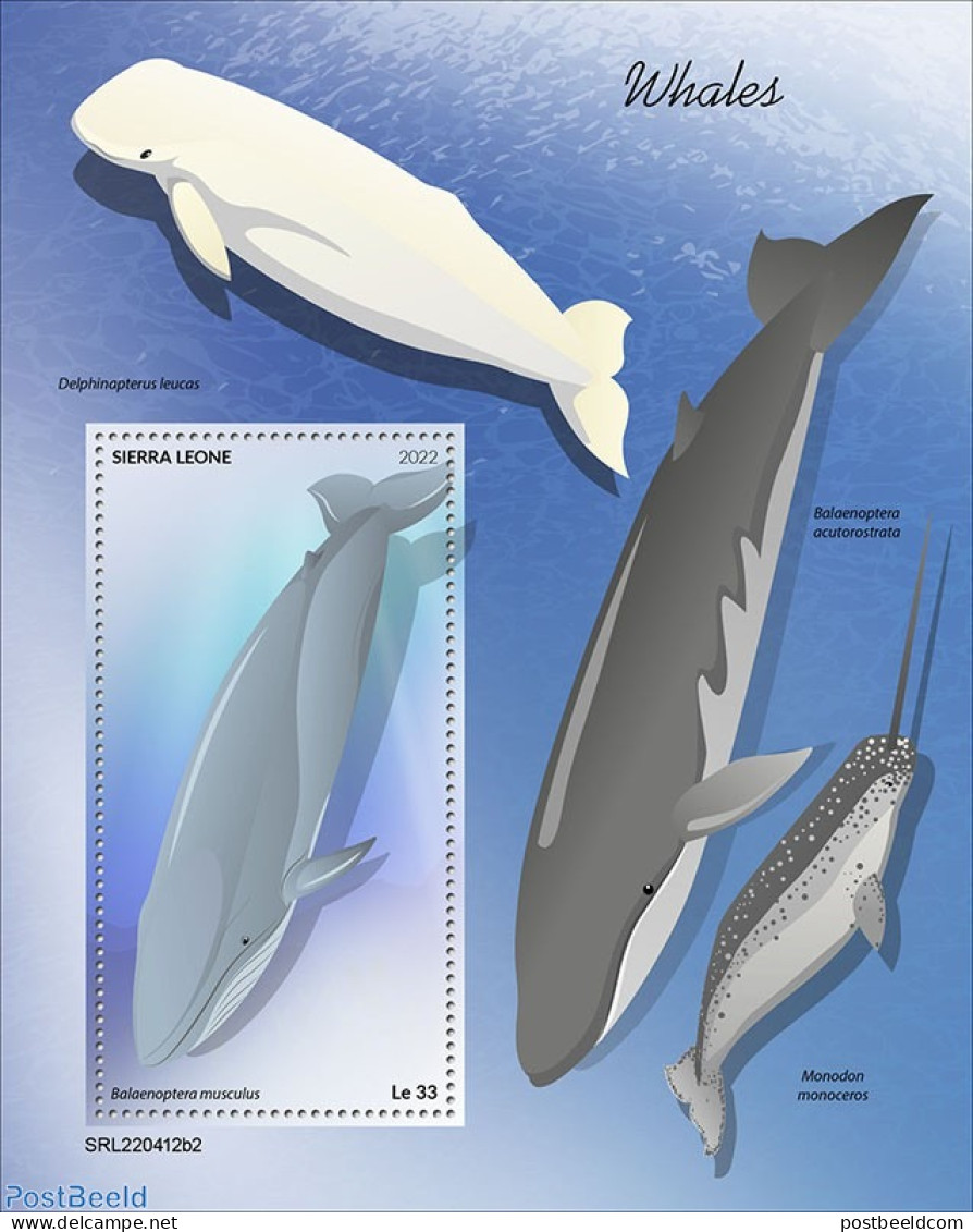 Sierra Leone 2022 Whales, Mint NH, Nature - Sea Mammals - Autres & Non Classés