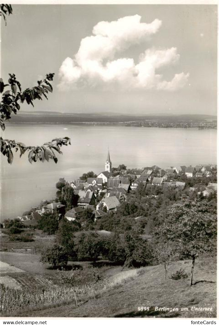 13896909 Berlingen Untersee Panorama Berlingen Untersee - Sonstige & Ohne Zuordnung