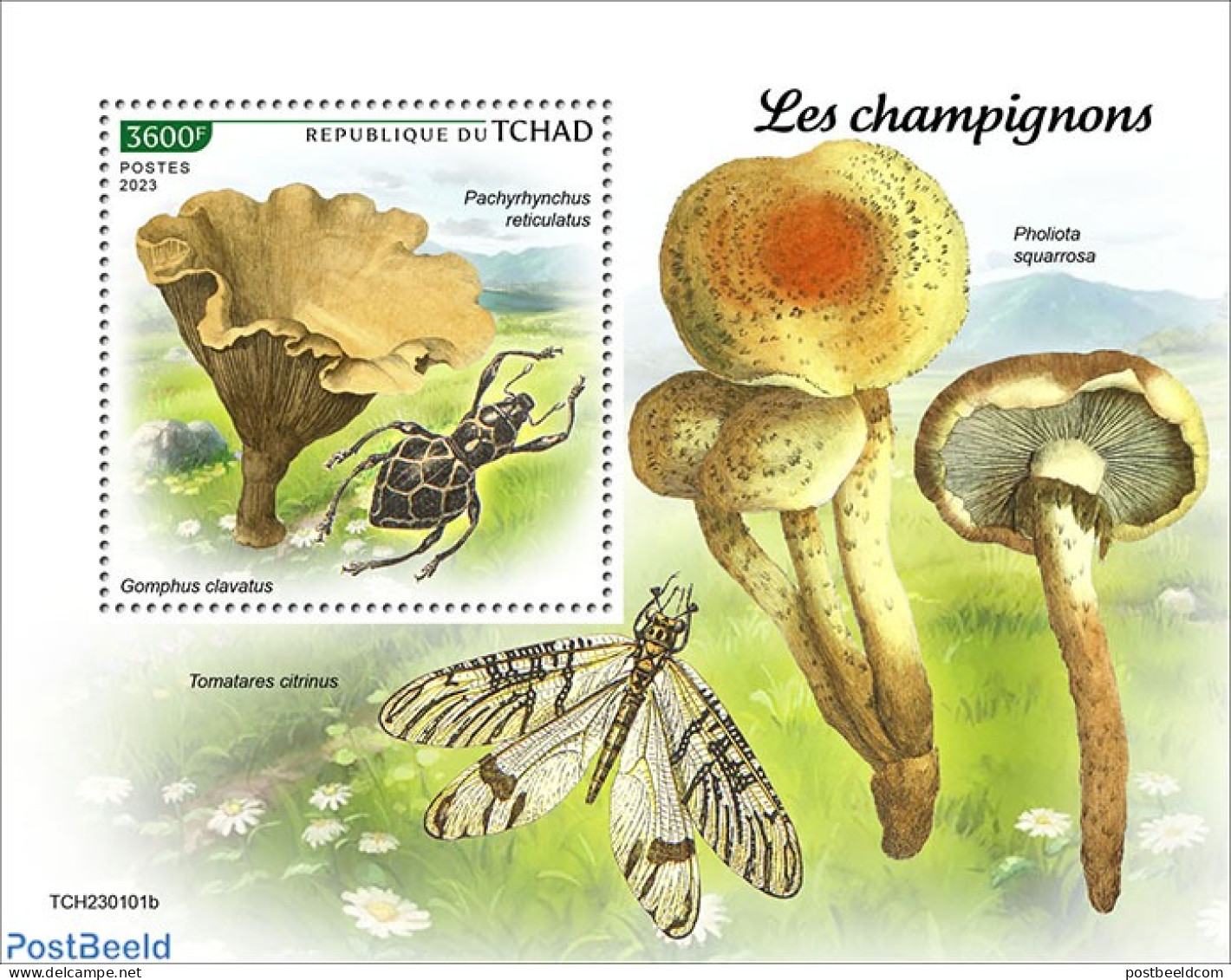 Chad 2023 Mushrooms, Mint NH, Nature - Insects - Mushrooms - Otros & Sin Clasificación