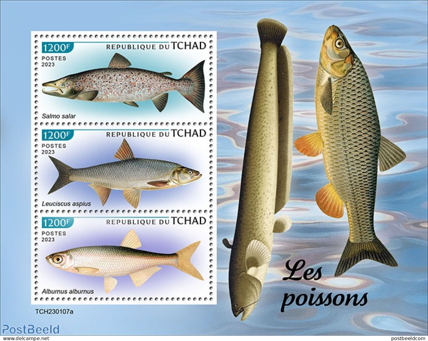 Chad 2023 Fishes, Mint NH, Nature - Fish - Autres & Non Classés