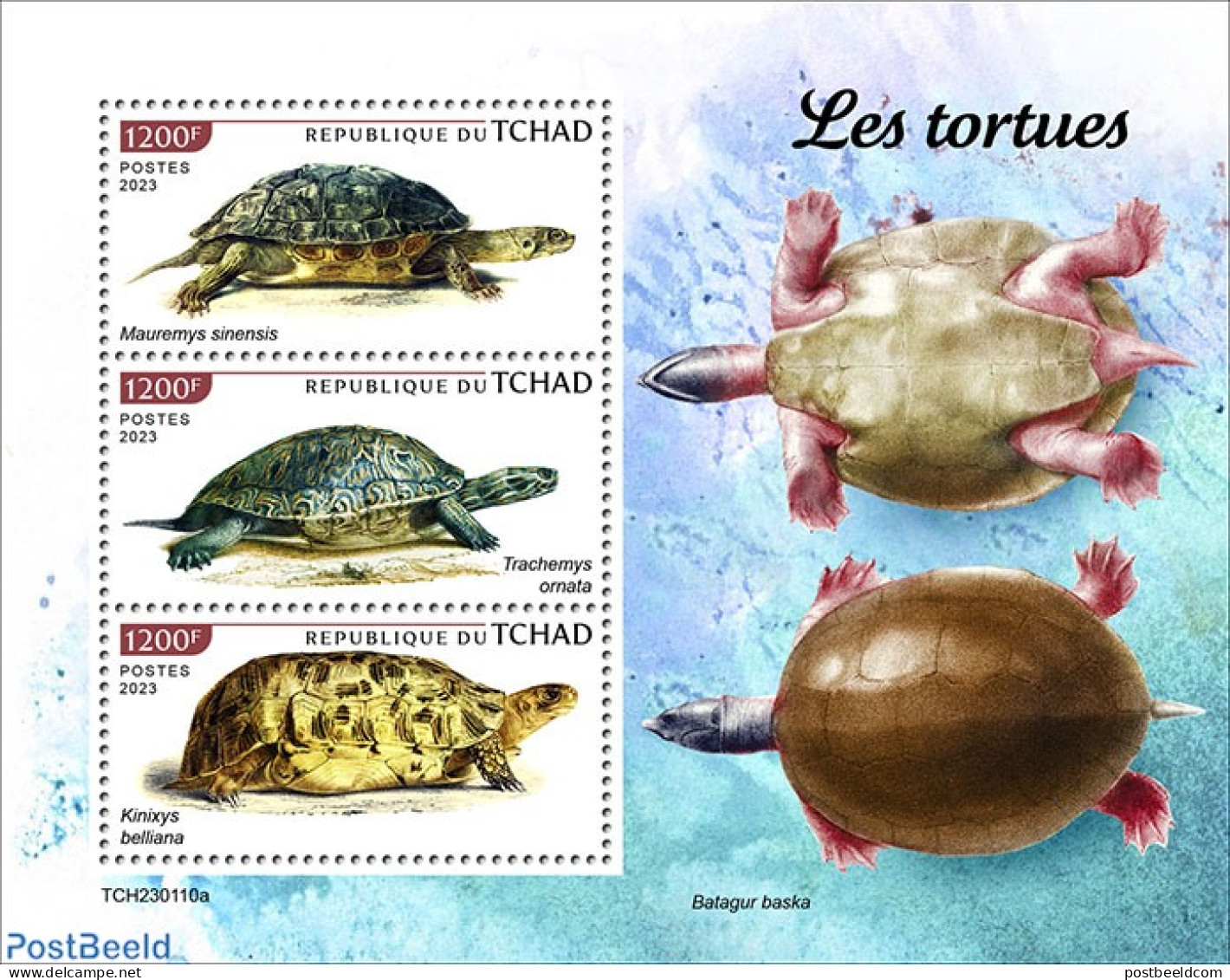Chad 2023 Turtles, Mint NH, Nature - Turtles - Sonstige & Ohne Zuordnung