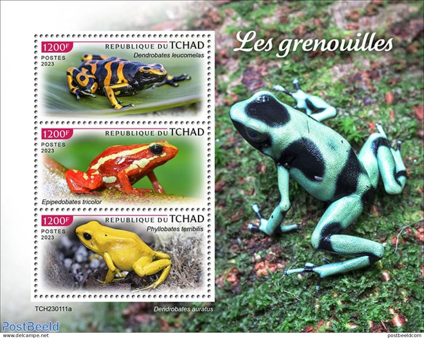 Chad 2023 Frogs, Mint NH, Nature - Frogs & Toads - Autres & Non Classés