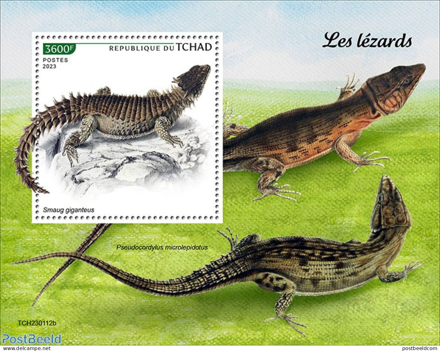 Chad 2023 Lizards, Mint NH, Nature - Reptiles - Otros & Sin Clasificación