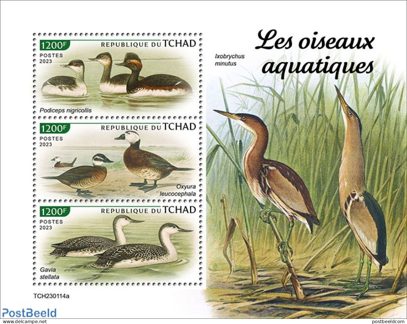 Chad 2023 Waterbirds, Mint NH, Nature - Birds - Ducks - Otros & Sin Clasificación