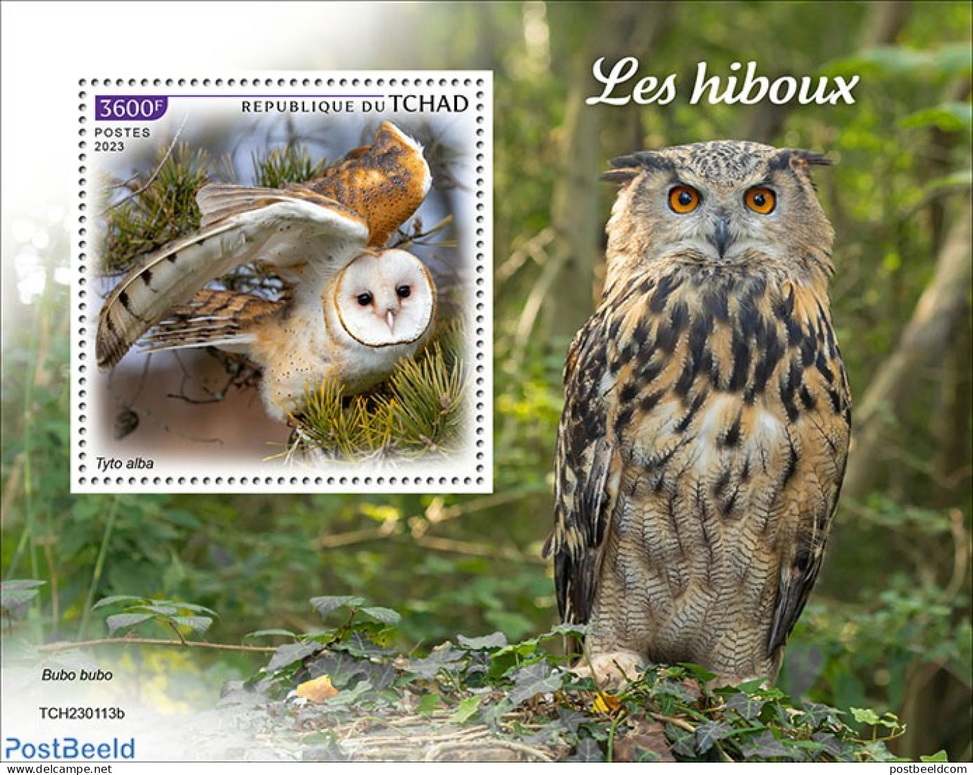 Chad 2023 Owls, Mint NH, Nature - Birds - Birds Of Prey - Owls - Other & Unclassified