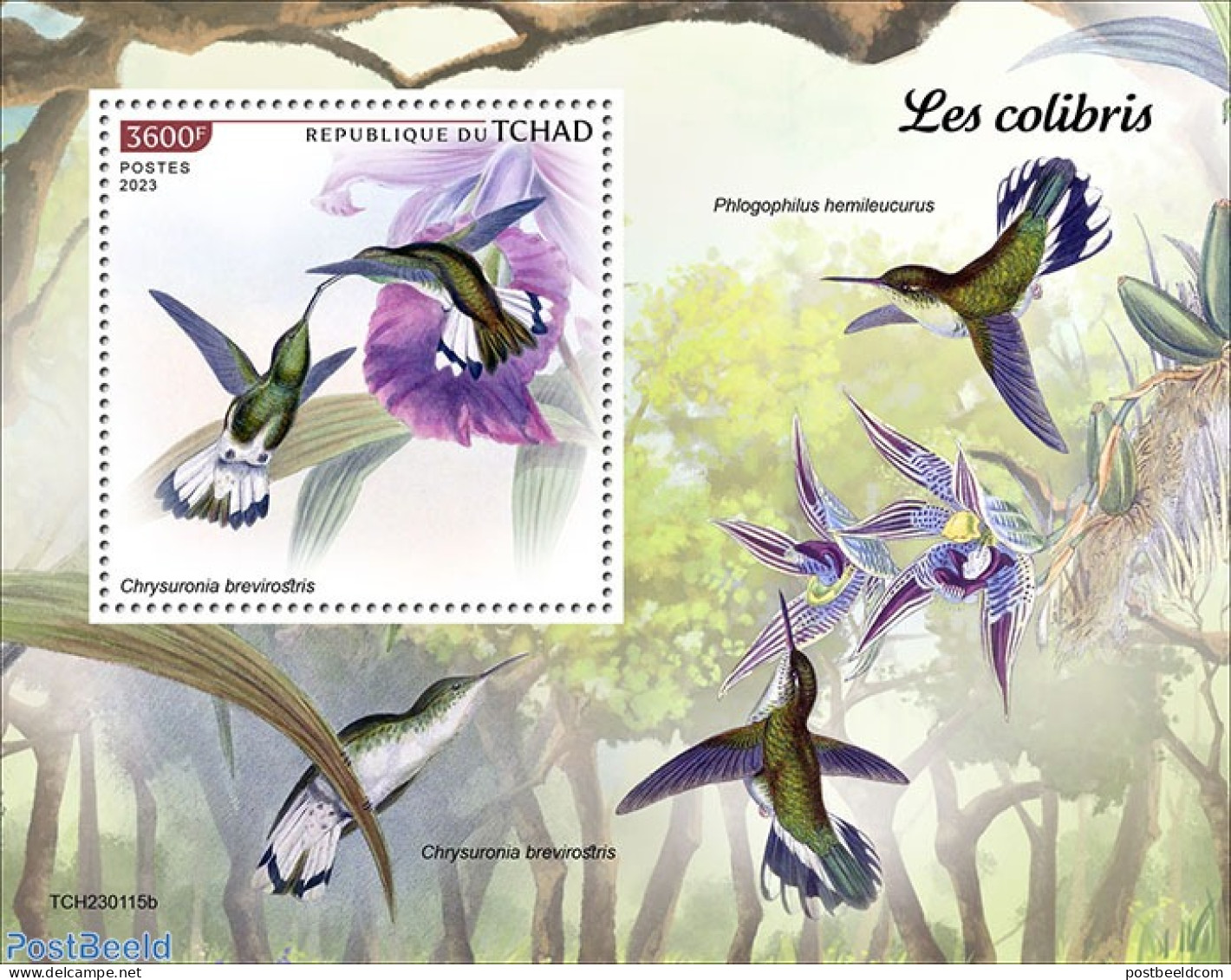 Chad 2023 Hummingbirds, Mint NH, Nature - Flowers & Plants - Hummingbirds - Sonstige & Ohne Zuordnung