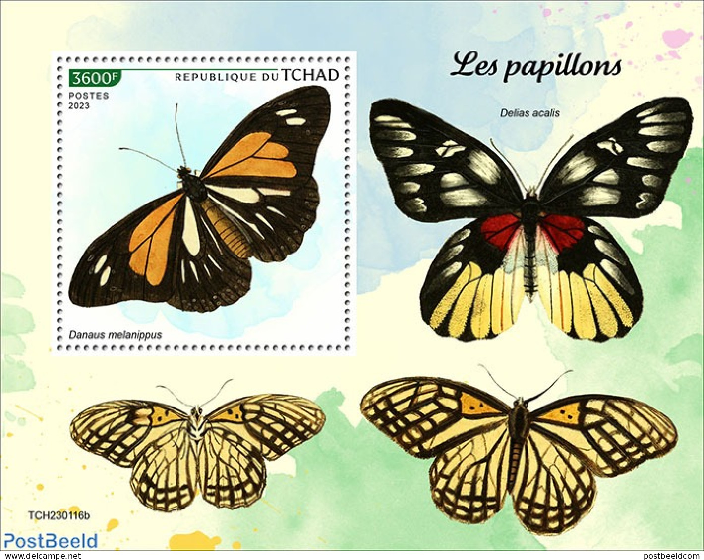 Chad 2023 Butterflies, Mint NH, Nature - Butterflies - Sonstige & Ohne Zuordnung