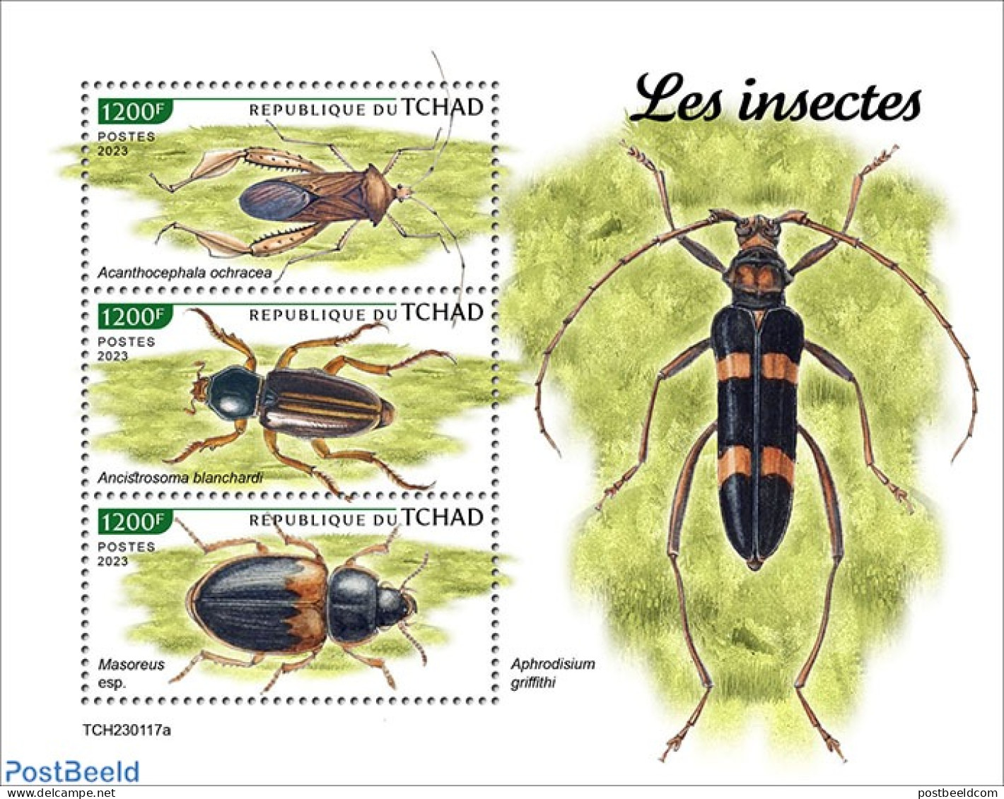 Chad 2023 Insects, Mint NH, Nature - Insects - Otros & Sin Clasificación