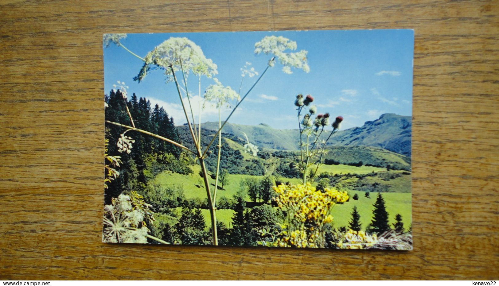 Environs Du Lioran , Vallée De La Cère Et Le Plomb Du Cantal - Andere & Zonder Classificatie