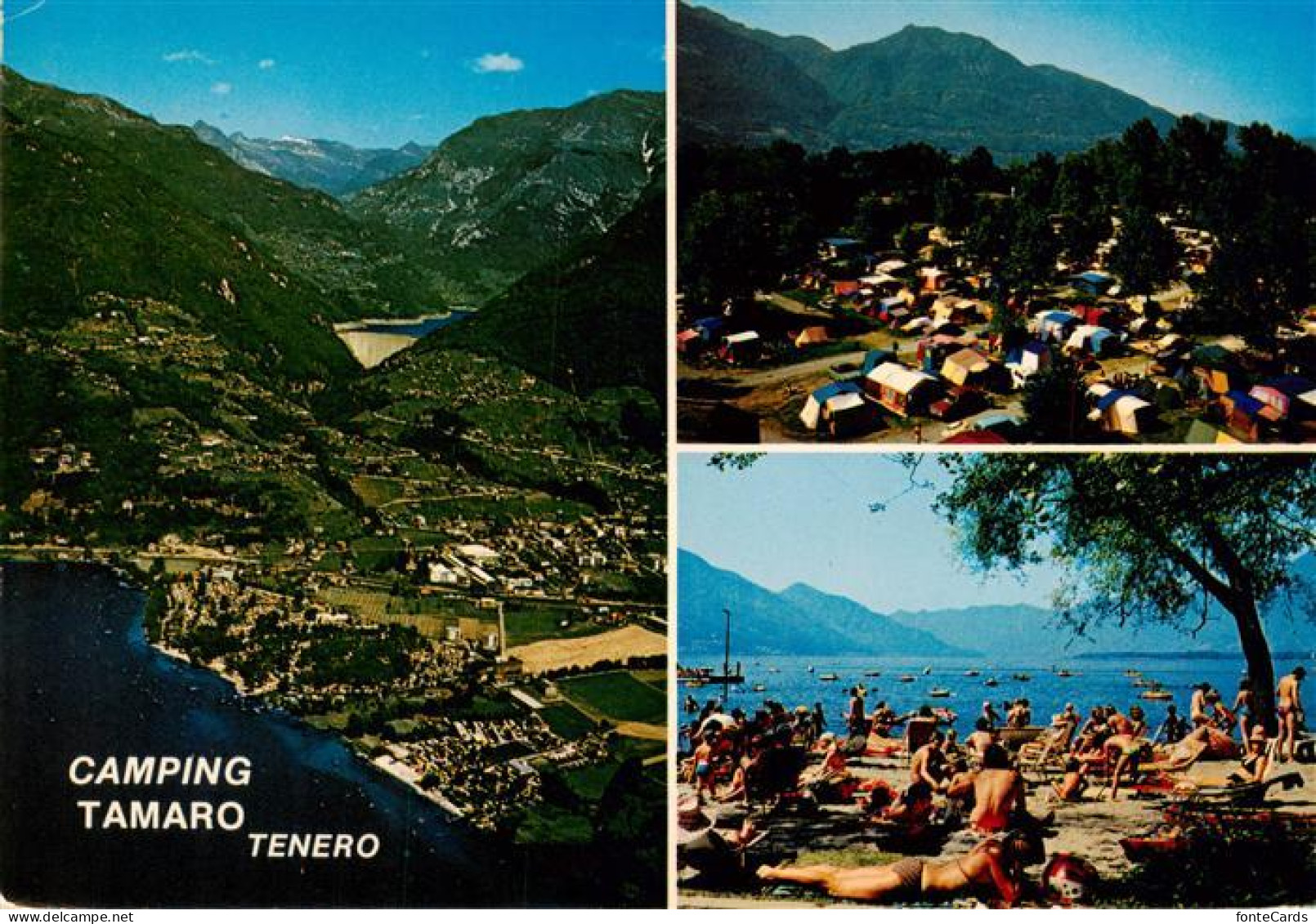 13886579 Tenero Lago Maggiore TI Camping Tamaro Fliegeraufnahme Strand  - Other & Unclassified