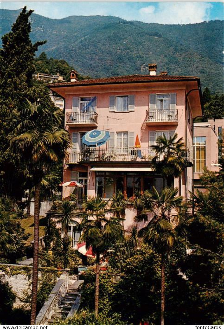 13885167 Muralto Locarno Lago Maggiore TI Pensione Belmonte  - Other & Unclassified