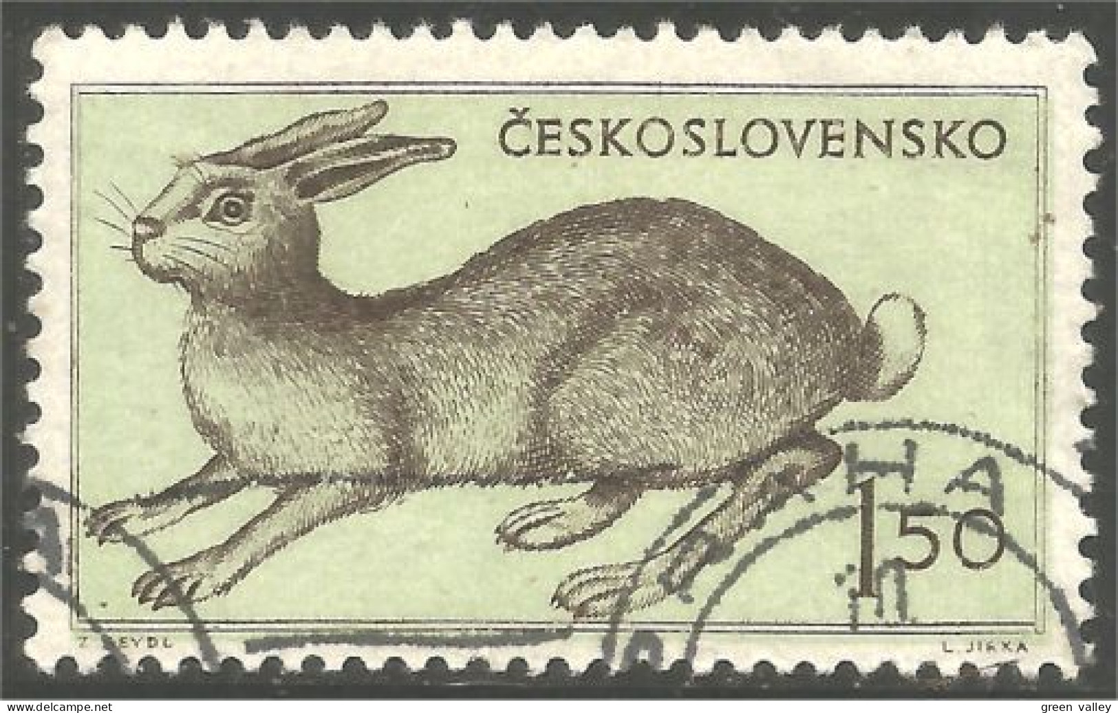 AF-188 Ceskoslovensko Lapin Lièvre Rabbit Hare Hase Kaninchen Coelho Conejo Coniglio Konijn - Rabbits