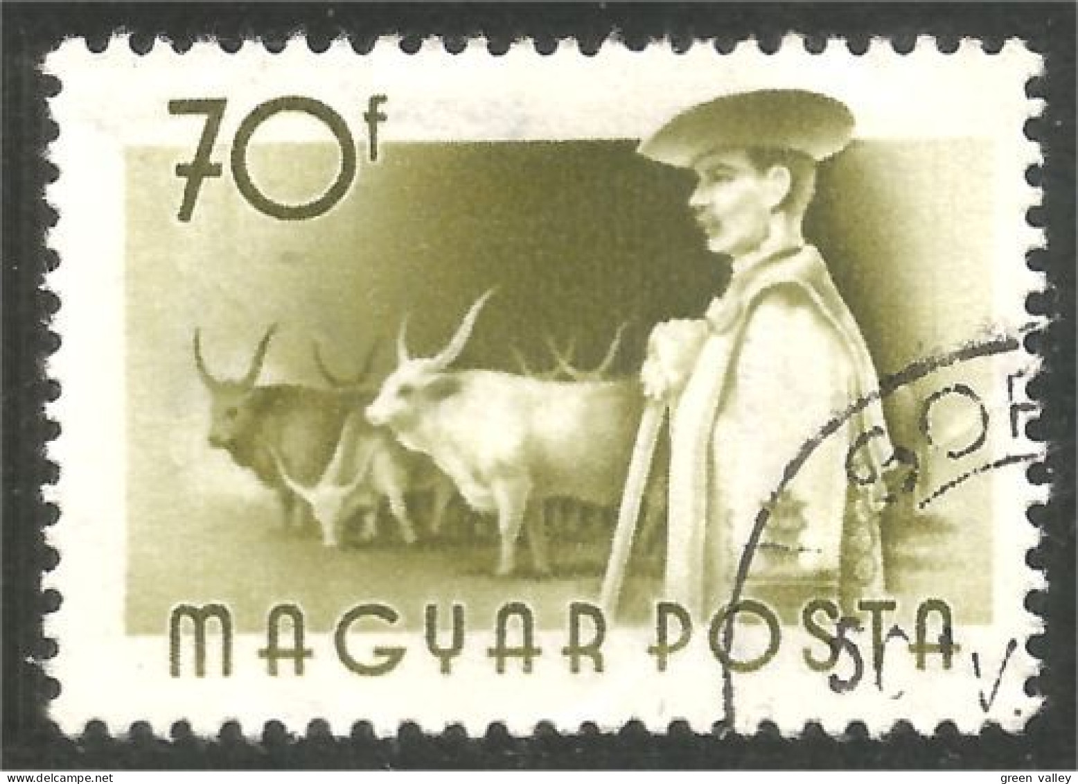 AF-202 Hongrie Boeuf Bull Vache Cow Ox Oxen - Landwirtschaft