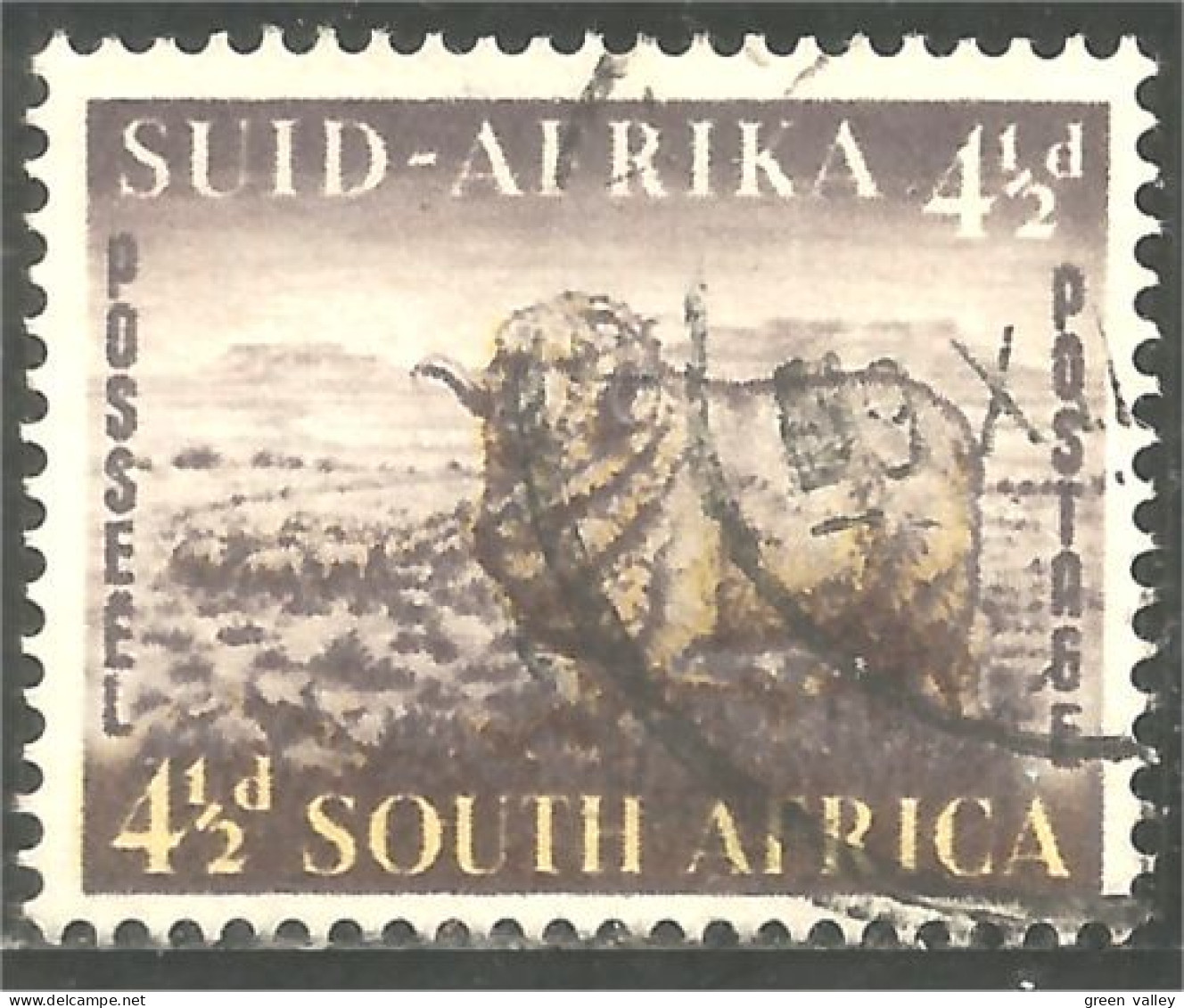 AF-173 South Africa Agriculture Elevage Mouton Sheep Schapen Pecora Oveja - Other & Unclassified