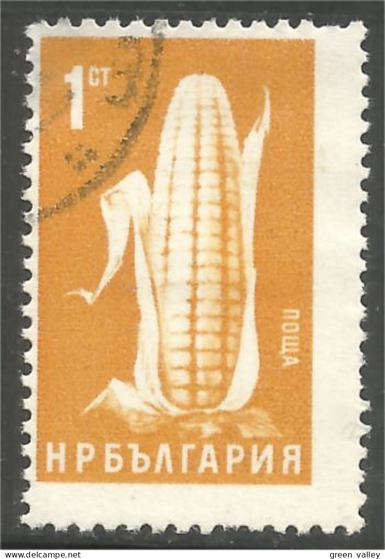 AF-168 Bulgarie Agriculture Mais Corn Maize - Agricoltura