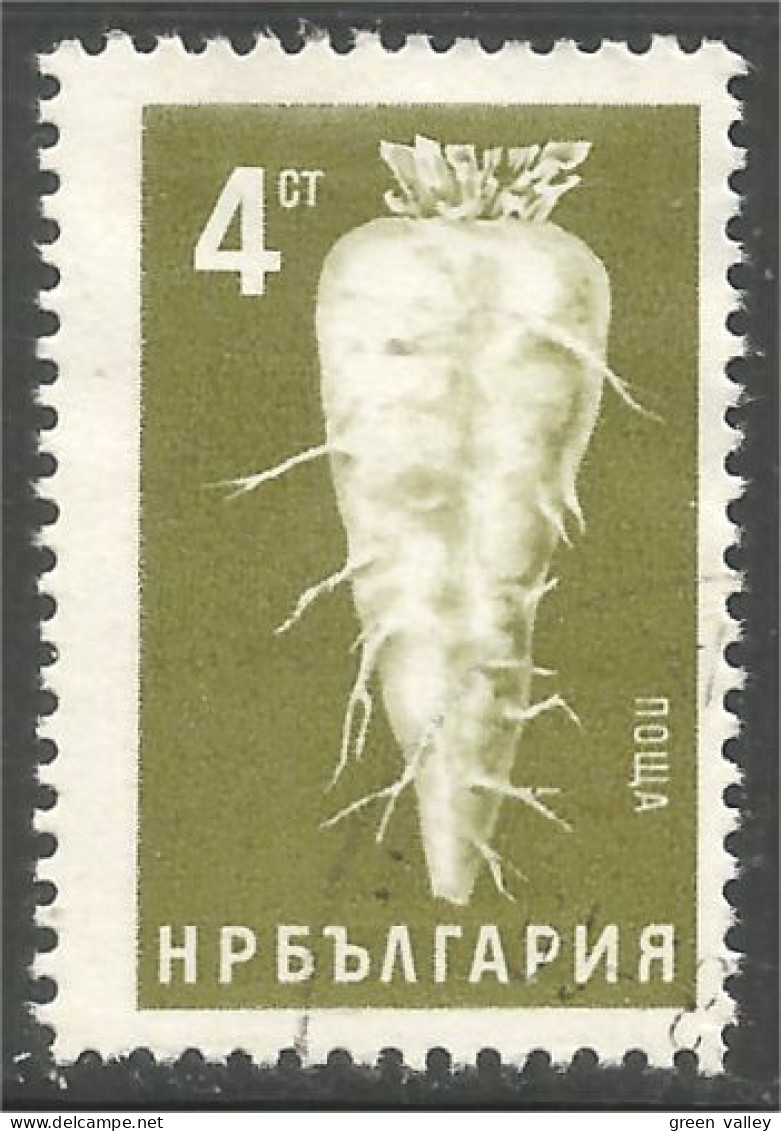 AF-167 Bulgarie Agriculture Betterave Beet - Agriculture