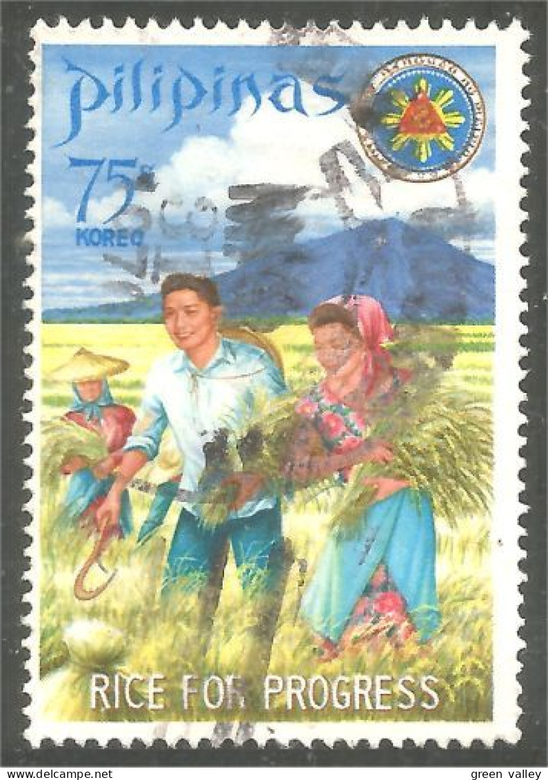 AF-158 Philippines Agriculture Récolte Riz Rice Harvest - Landbouw