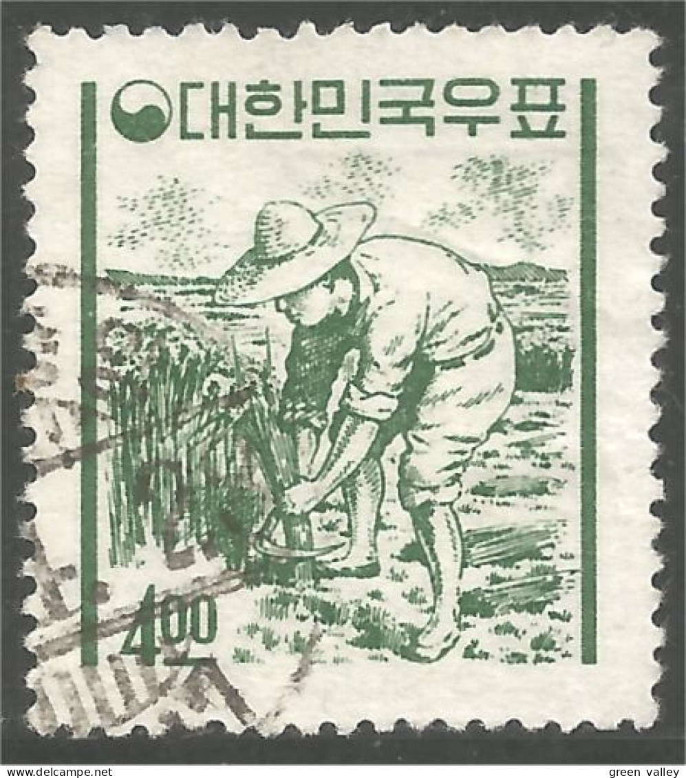 AF-156 Corée Agriculture Récolte Riz Rice Harvest - Agriculture