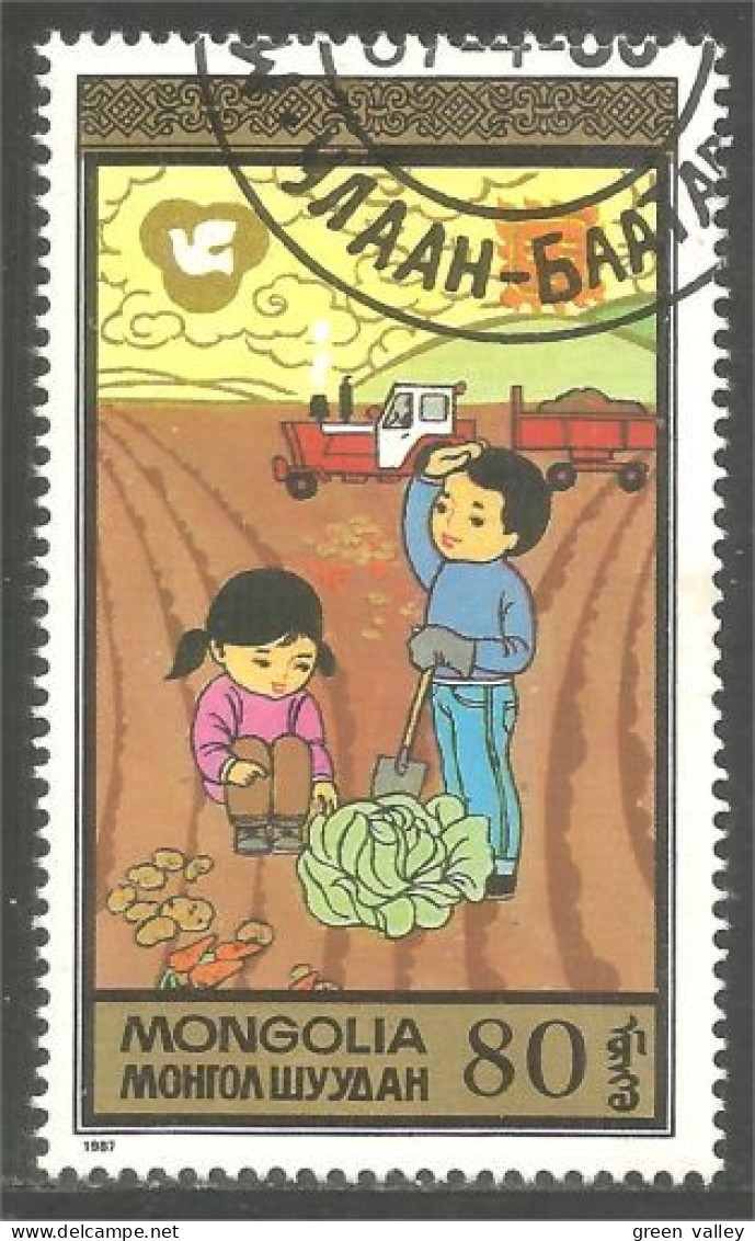 AF-143 Mongolia Chou Cabbage Potato Pomme Terre Tracteur Tractor Agriculture - Agriculture