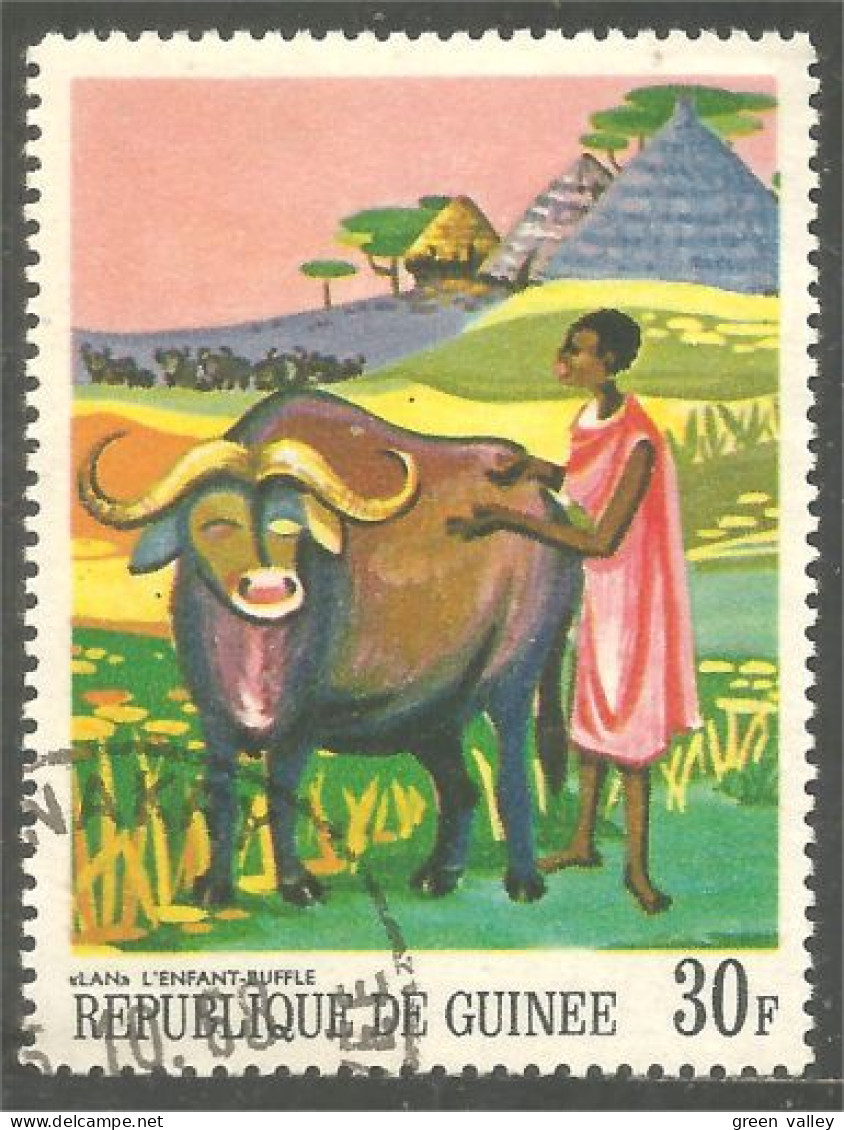 AF-136 Guinée Elevage Buffle Buffalo - Agricultura