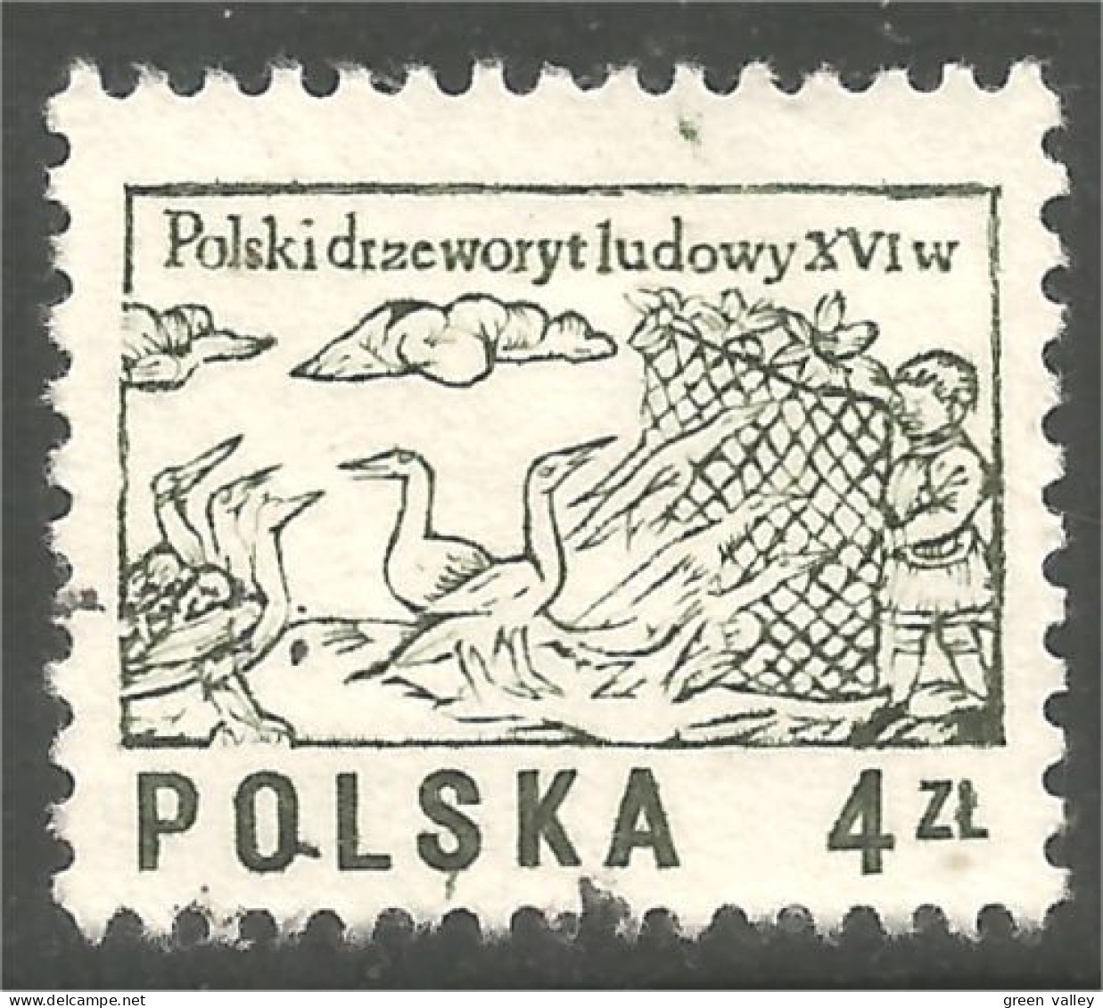 AF-126 Pologne Oie Goose Geese Gans Oca Ganso Canard Duck Ente - Agriculture