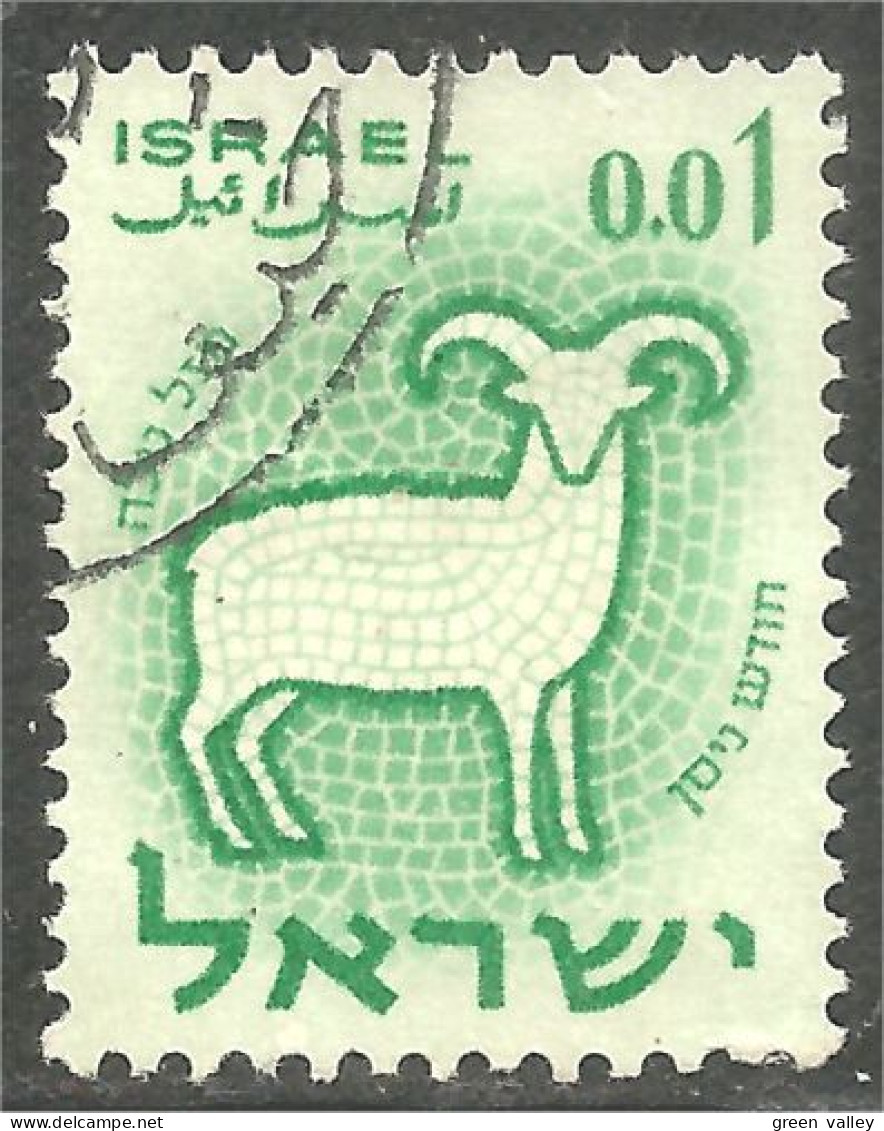 AF-109 Israel Mouton Schapen Pecora Oveja Sheep Rammen Ariete - Agriculture