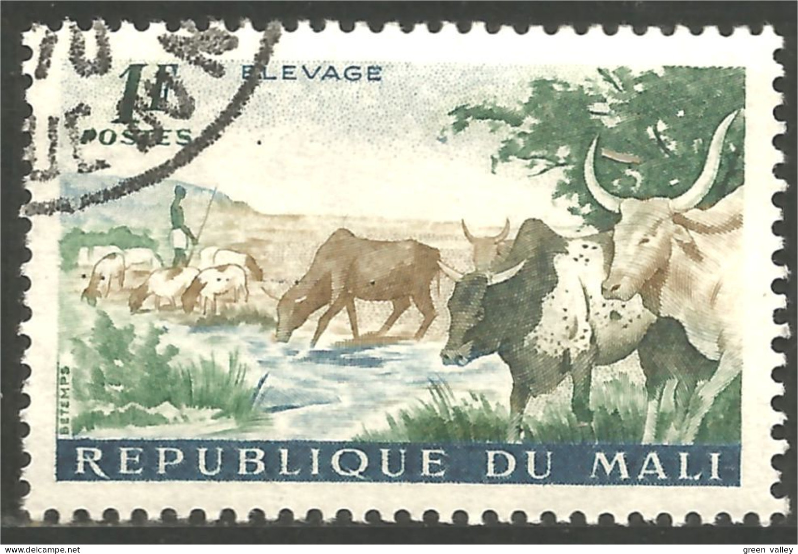 AF-65 Mali Vache Cow Kuh Koe Mucca Vacca Vaca Mouton Sheep Schapen Pecora Oveja - Landbouw