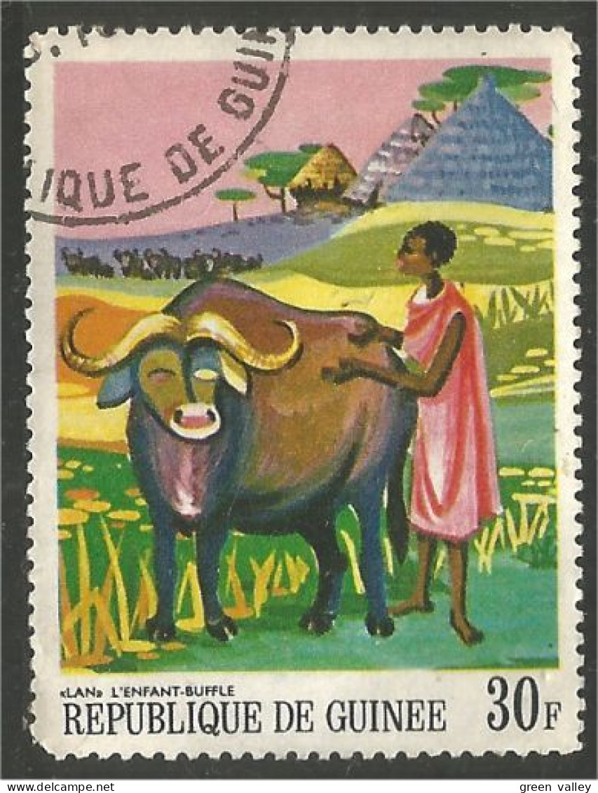 AF-49 Guinée Vache Cow Kuh Koe Mucca Vacca Vaca Taureau Bull - Kühe