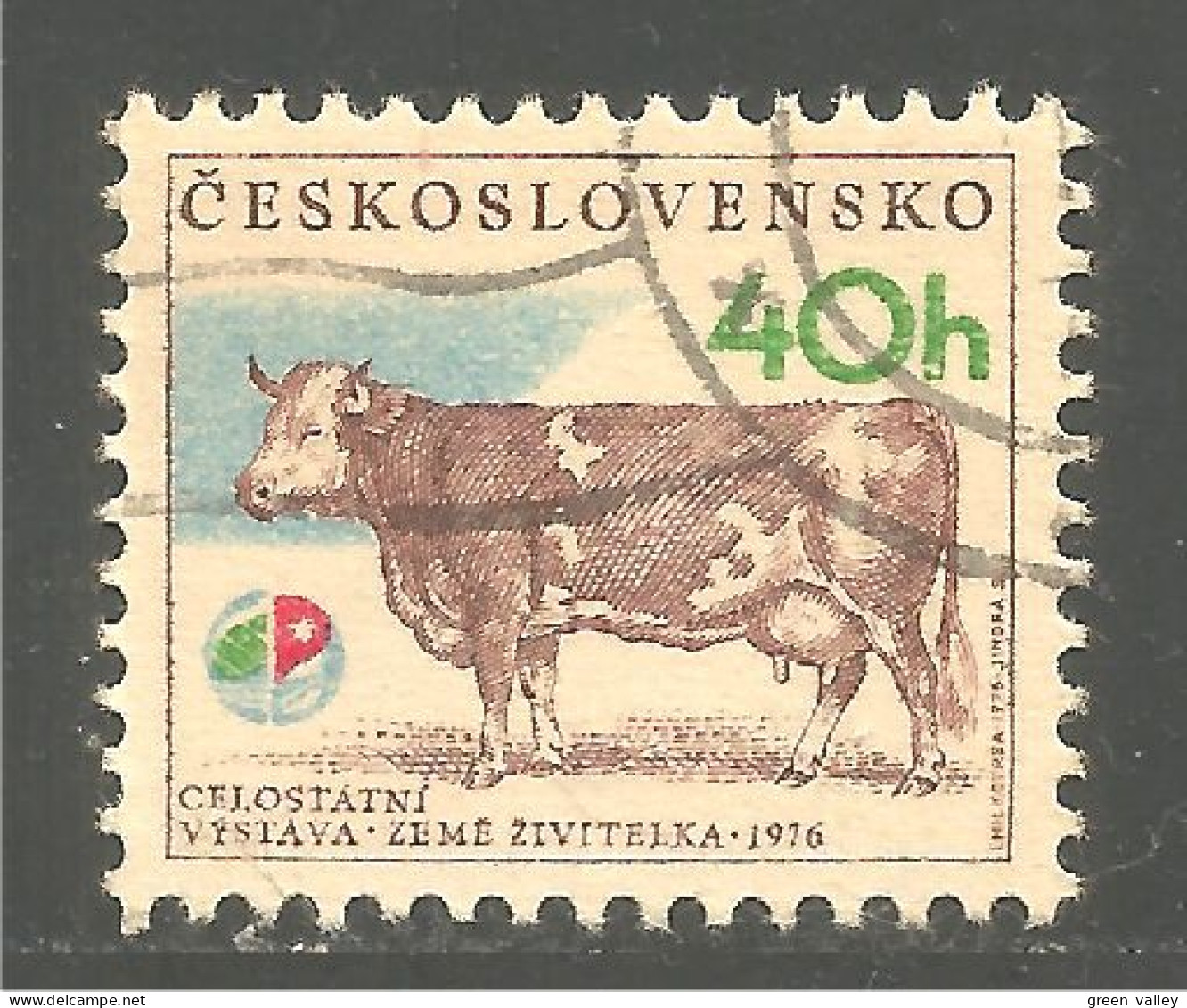 AF-51 Ceskoslovenko Vache Cow Kuh Koe Mucca Vacca Vaca Taureau Bull - Agriculture