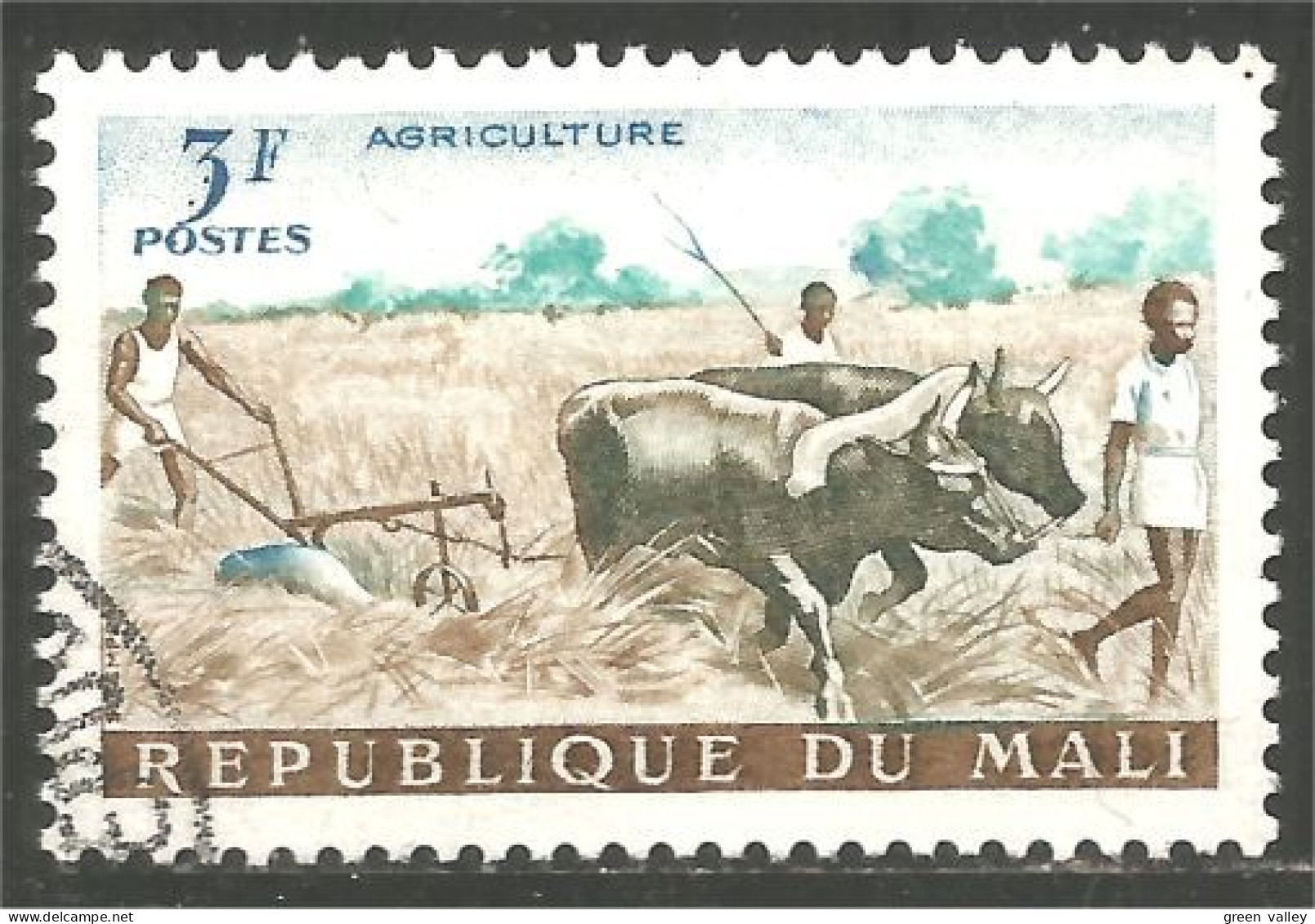 AF-39 Mali Agriculture Boeuf Ox - Landbouw