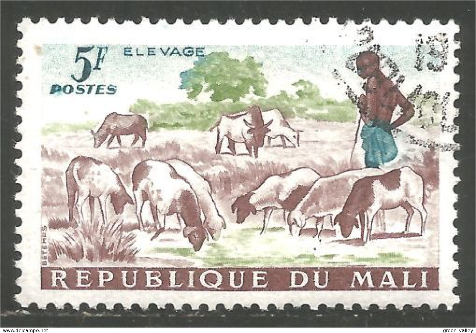 AF-36 Mali Vache Cow Kuh Koe Mucca Vacca Vaca Mouton Sheep Schapen Pecora Oveja - Hoftiere