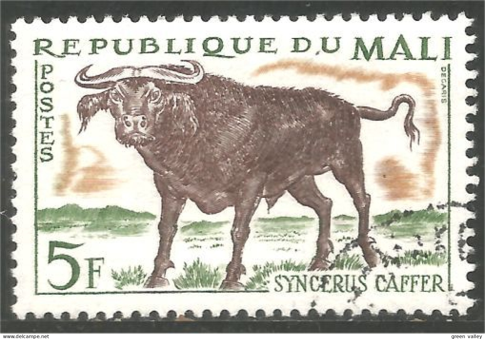 AF-38 Mali Vache Cow Kuh Koe Mucca Vacca Vaca Taureau Bull - Cows