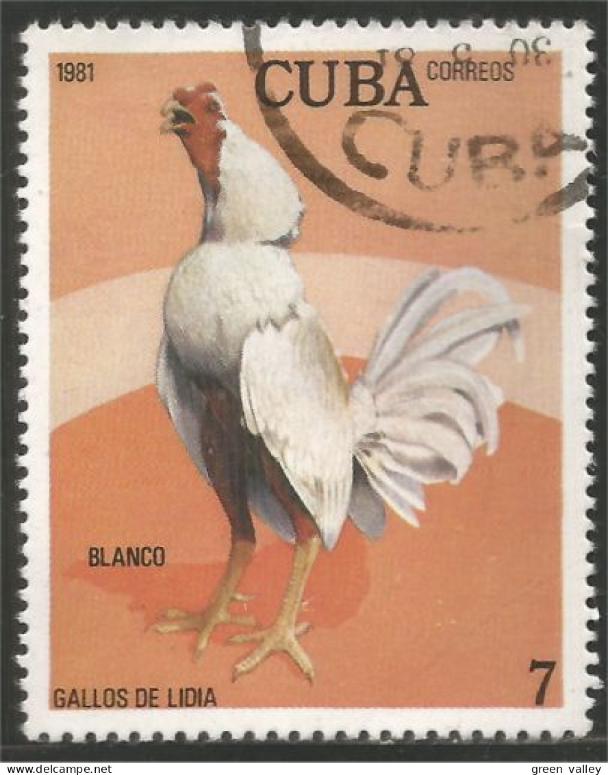AF-28 Cuba Coq Rooster Hahn Haan Gallo - Galline & Gallinaceo