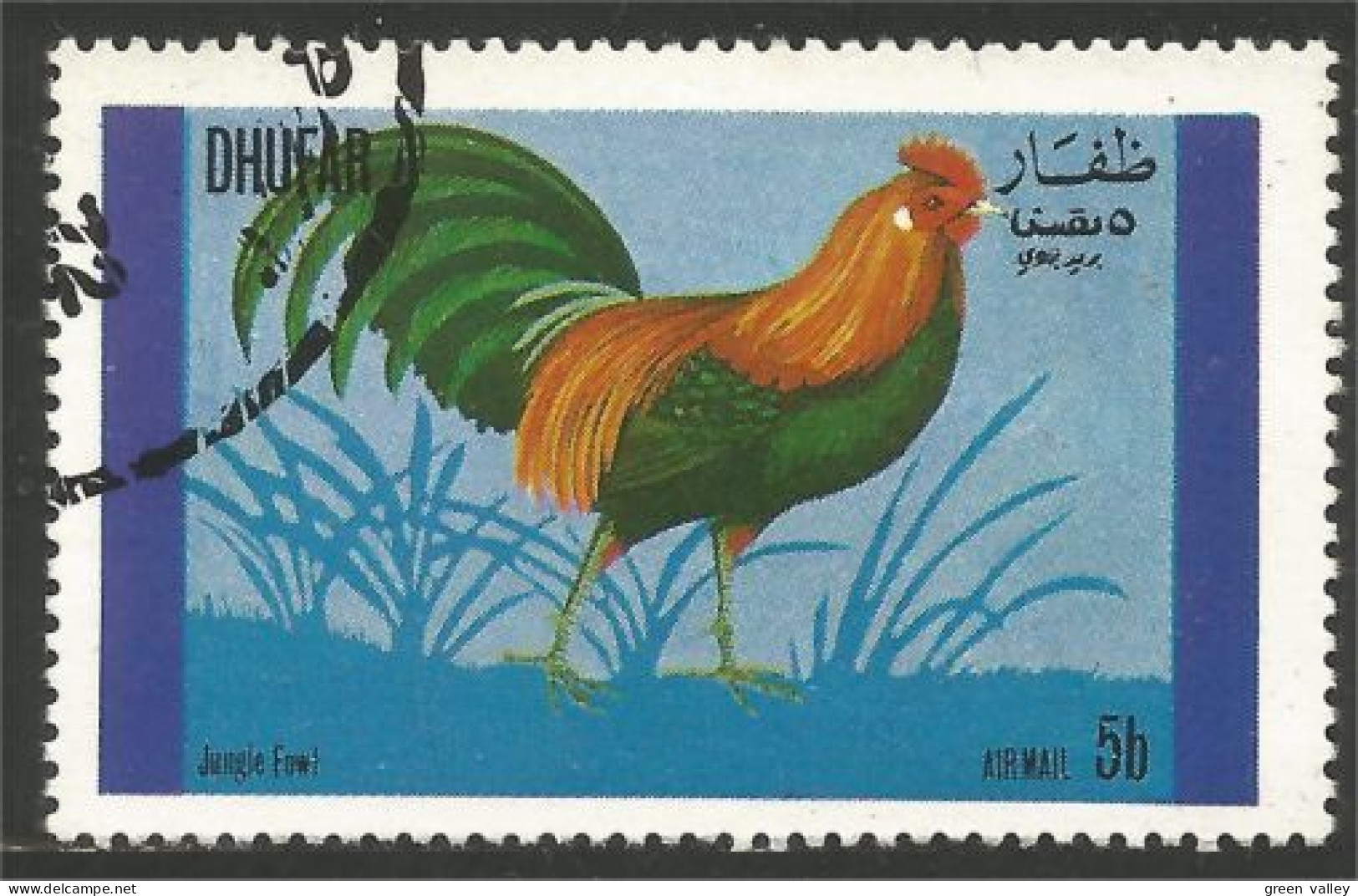 AF-10 Dhufar Coq Rooster Hahn Haan Gallo - Gallinacées & Faisans