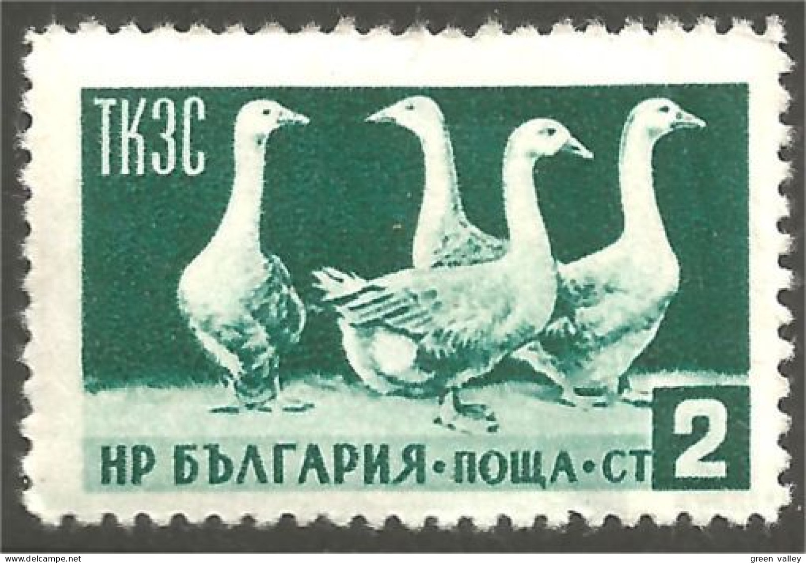 AF-2 Bulgaria Oie Goose Geese Gans Oca Ganso MH * Neuf CH - Gansos