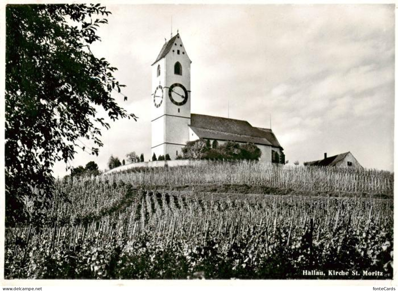 13883769 Hallau SH Kirche St. Moritz  - Other & Unclassified