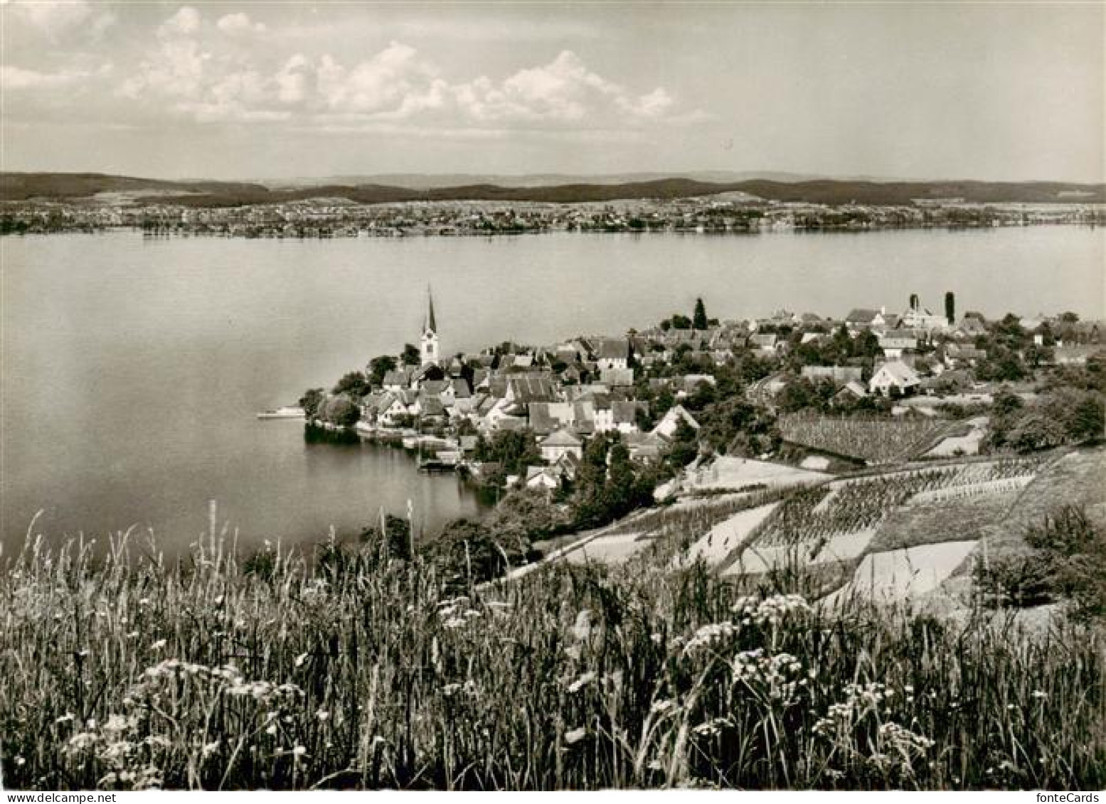 13875677 Berlingen Untersee Mit Insel Reichenau Berlingen Untersee - Andere & Zonder Classificatie