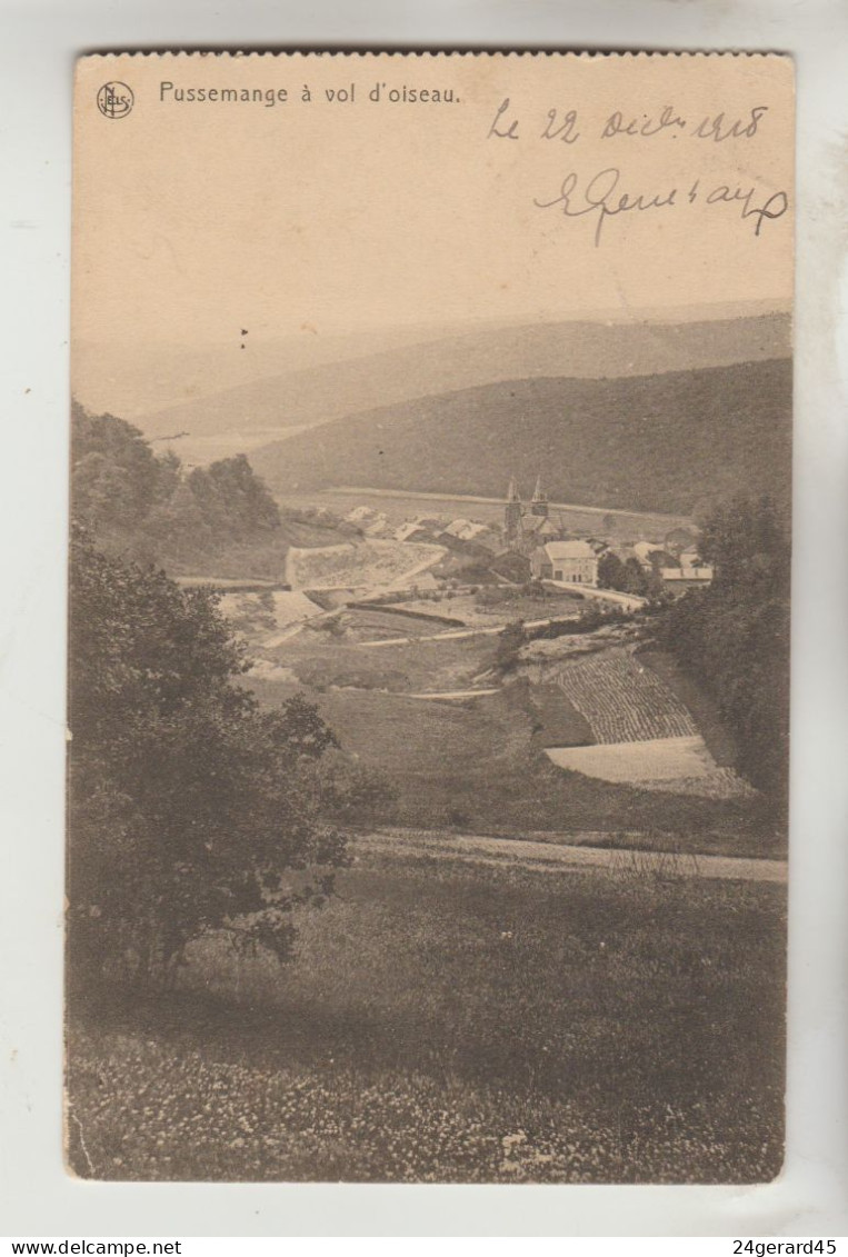 CPA VRESSE SUR SEMOIS (Belgique-Namur) - PUSSEMANGE : A Vol D'oiseau - Vresse-sur-Semois