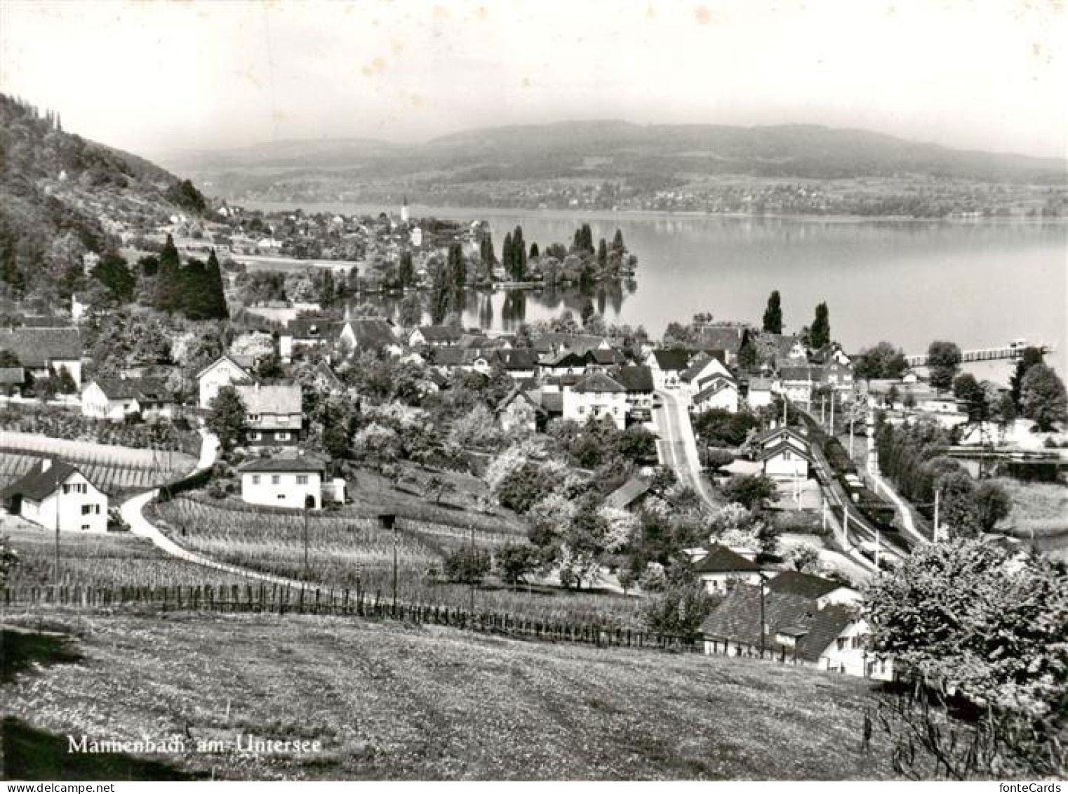 13874829 Mannenbach-Salenstein TG Am Untersee  - Autres & Non Classés