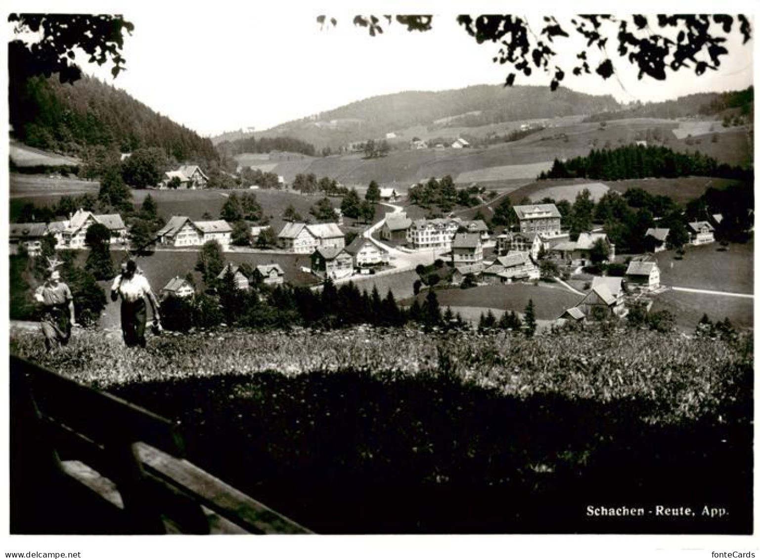 13874817 Schachen-Reute AR Panorama  - Sonstige & Ohne Zuordnung