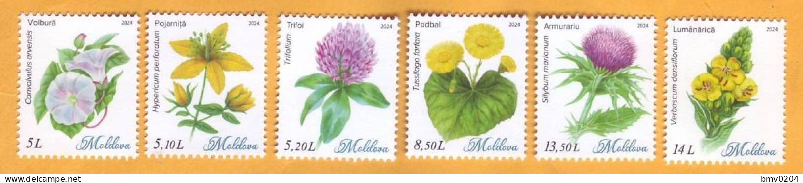 2024 Moldova  Wild Flowers, Flora, Nature 6v Mint - Andere & Zonder Classificatie