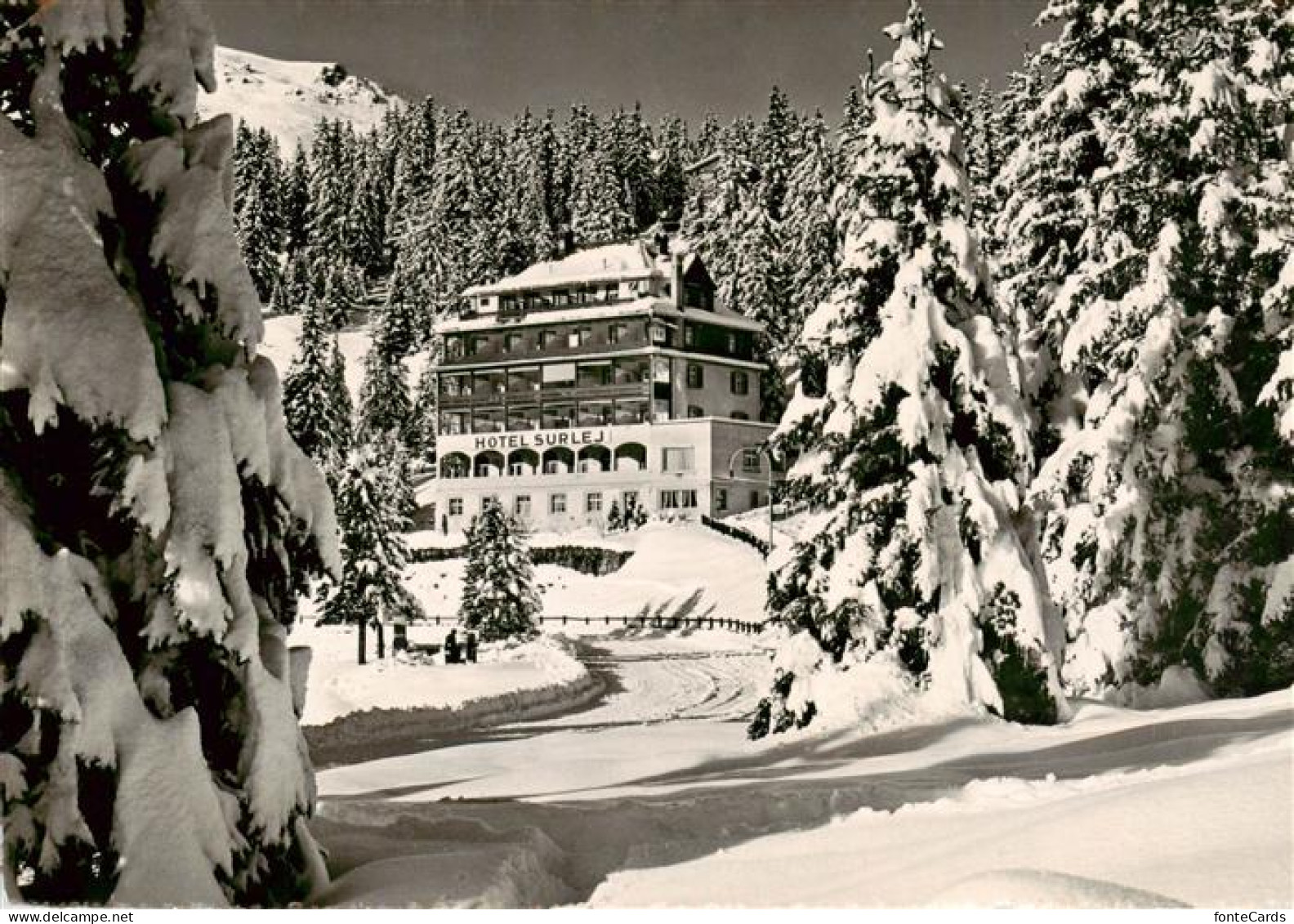 13871289 Arosa GR Hotel Surlej Arosa GR - Altri & Non Classificati