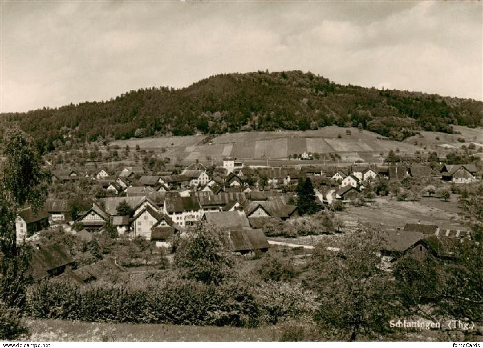 13868749 Schlattingen TG Panorama  - Sonstige & Ohne Zuordnung