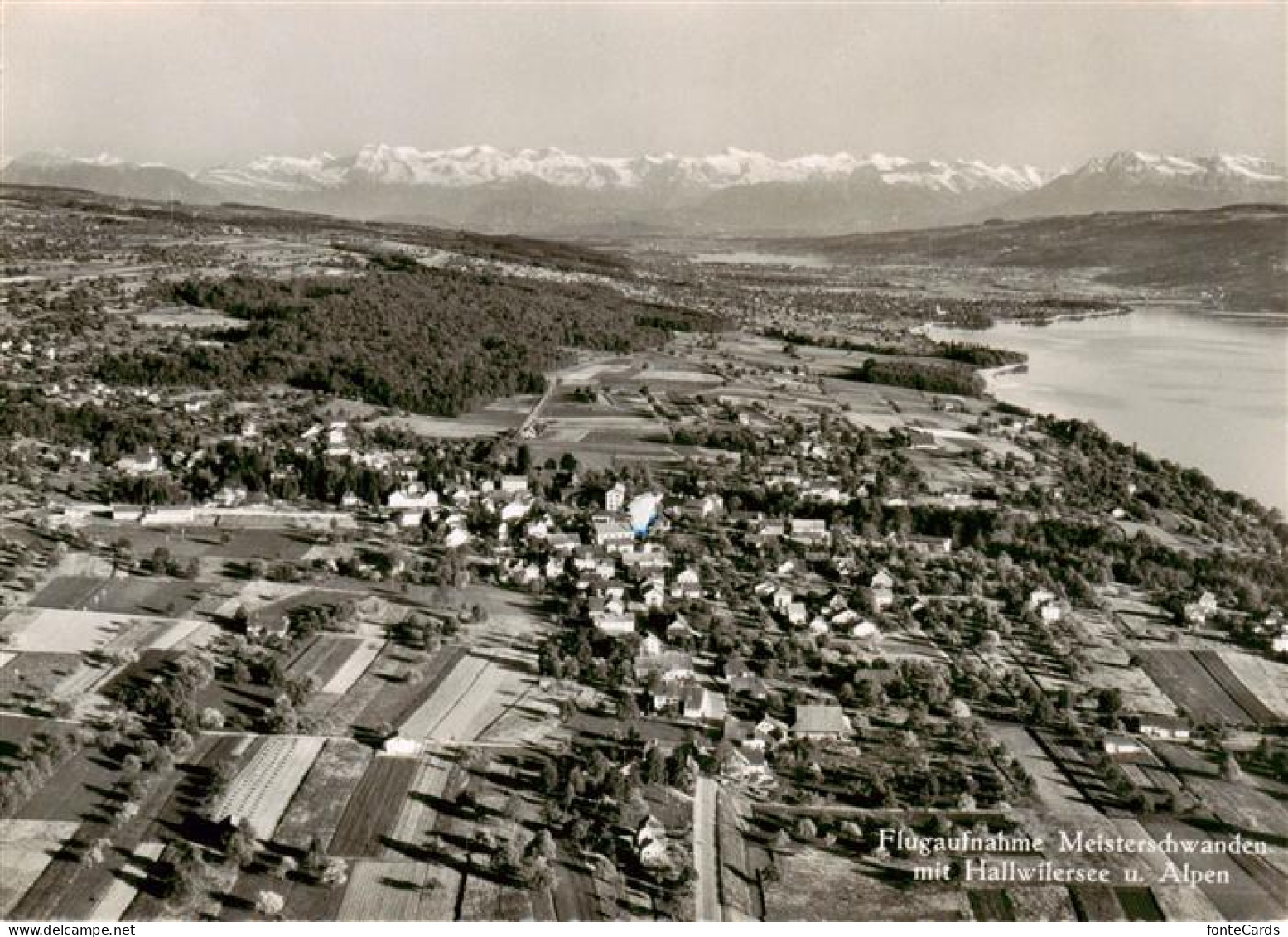 13868709 Meisterschwanden AG Mit Hallwilersee Und Alpen  - Other & Unclassified