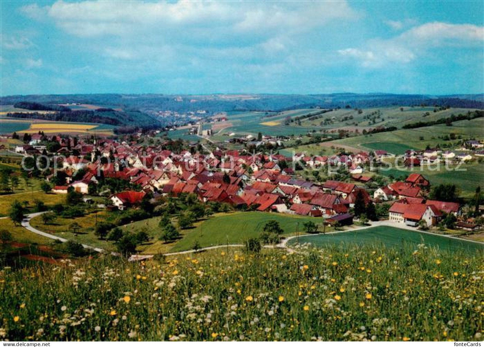 13868569 Schleitheim SH Panorama  - Autres & Non Classés