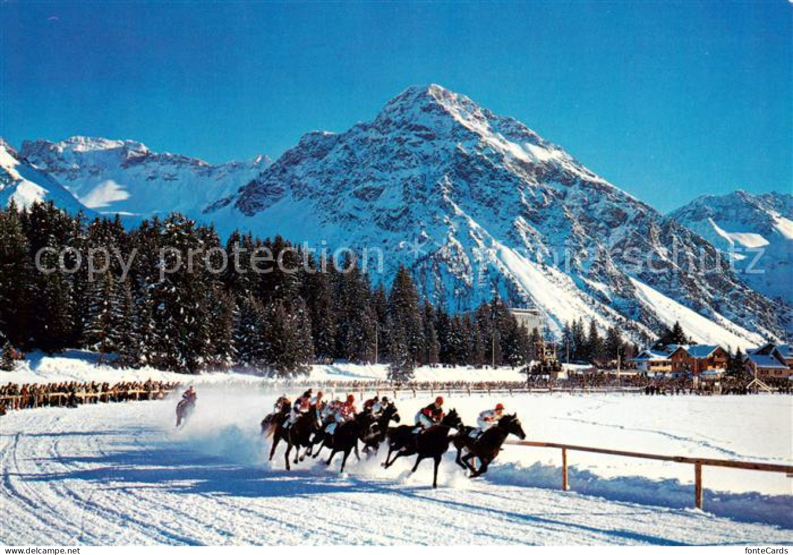 13865729 Arosa GR Pferderennen Auf Dem Obersee Wintersportplatz Alpen Arosa GR - Otros & Sin Clasificación